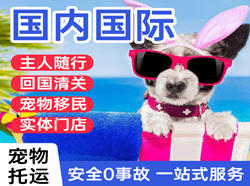 丹东航空货运国际宠物托运 【国